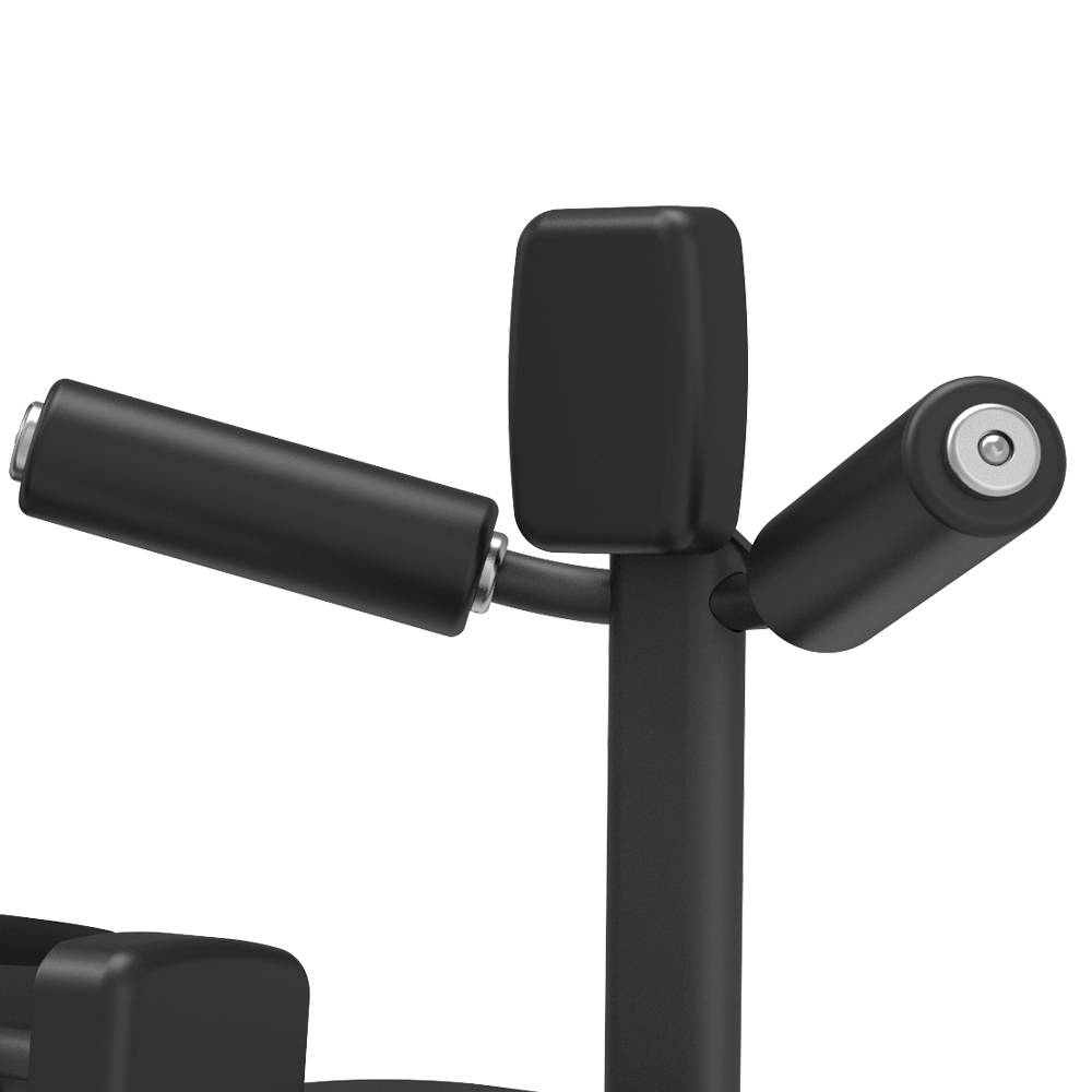 BPM1204 Вращение туловища сидя