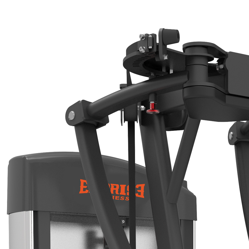 BPM1231 Грудные мышцы и задняя дельта