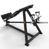 BG2006 Lieing T-Bar Row