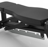 CG1A46 Multi Sciess Readysable Bencher