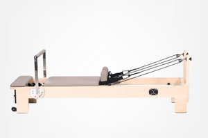 Alt04 Tianyou Homememorer Reformer