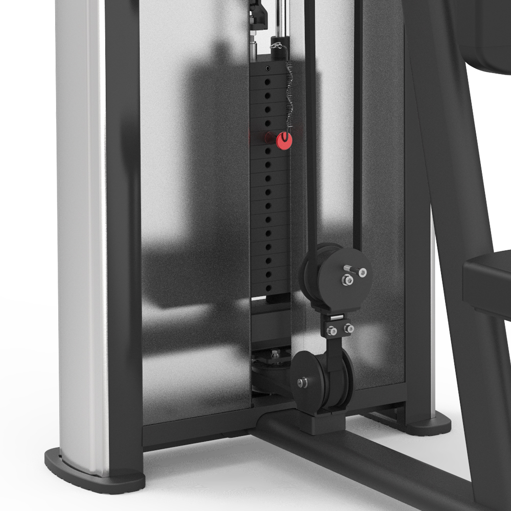 BPM1231 Грудные мышцы и задняя дельта